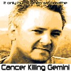 Picture for song 'Should I Tell You That You're Pretty' by artist 'Cancer Killing Gemini'