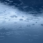 Picture for song 'A Blessing of Rain' by artist 'Carlo D'Anna'