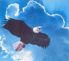 Picture for song 'Eagle's Wings' by artist 'Charlie Nagy'