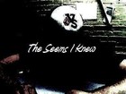Picture for song 'The Seems I Knew (Rough)' by artist 'Chaz Lane'