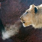 Picture for song '#001 - BREATHE (Free D/L) *6/12/13* |Hip-Hop' by artist 'CNorman'