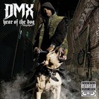 Picture for song 'CRACKIN SKULLS!!! DMX ft KISS, SHEEK LOUCH, BUSTA' by artist 'CO100'