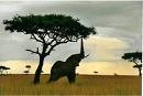 Picture for song 'AFRIQUE' by artist 'Compatibles2'