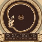 Picture for song 'Swamp City Funk' by artist 'CookRocks'