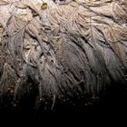 Picture for song 'Fade To Black' by artist 'Cover Tunes'