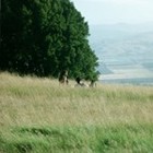 Picture for song 'Bubble (Good real life type track) $25 Ex' by artist 'Cracka Lack'