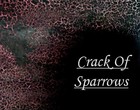 Picture for song 'Drain The Love' by artist 'Crack Of Sparrows'