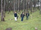 Picture for song 'Cuerdas - Salvadme Vidha (Acustico)' by artist 'CUERDAS de Cusco'