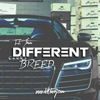Picture for song '*SMASH* Different Breed Ft. @JrumBeats #ViceSquad' by artist 'D2theRJ'