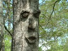 Picture for song 'All Shook Up_0708_03' by artist 'Daktari'