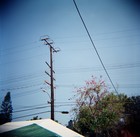 Picture for song 'Richie The Rappin' Rabbit (DEMO)' by artist 'Damn Skippy'