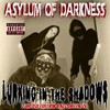 Picture for song 'Lurking in the Shadows' by artist 'Danny Sadistic'