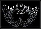 Picture for song 'Take Off' by artist 'DarkWing Beats'