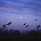 Picture for song 'Breeze' by artist 'Darrens Band'