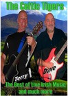 Picture for song 'CELTIC TIGERS IRISH MUSIC' by artist 'DAVE BLISS'