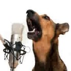 Picture for song 'Brand New Day' by artist 'Dave Bride'