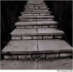 Picture for song 'Not Tonight' by artist 'Dead Star Production'