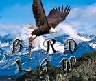 Picture for song 'Bird Law' by artist 'Dee Eagle (new)'