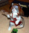 Picture for song 'Walk On, Rock On' by artist 'Dem Ohh'