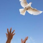 Picture for song 'Let It Go' by artist 'DHW'