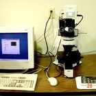 Picture for song 'Microscopic' by artist 'DHW'