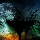 Picture for song 'Scare Crow (collab Renee Anderson / DHW)' by artist 'DHW'