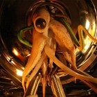 Picture for song 'War Of The Worlds (DHW DNB Remix)' by artist 'DHW'