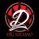 Picture for song '10 NY to TX to NC 2' by artist 'Dig Luciano'