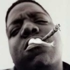 Picture for song 'Fresh Green masterd' by artist 'Dirtville Entertainment'