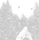 Picture for song 'The King Has Been Born' by artist 'Dirty Dan Harris'