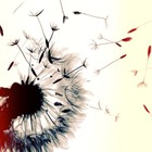 Picture for song 'DANDYLION.mp3' by artist 'djBartlett'