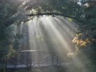 Picture for song 'Let The Sun In' by artist 'DJ Cvince Records'