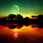 Picture for song '*NEW*Dont Funk Wit De Fish.70Bpm Free DL' by artist 'Dj Katfish'