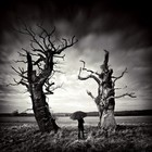 Picture for song 'The Dark sOng' by artist 'dj LF'