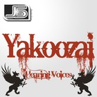 Picture for song 'Hearing Voices (Litespeid remix)' by artist 'DJ Litespeid'