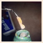 Picture for song '**White Boys In Amsterdam** || dM|GH' by artist 'dMillionaire'