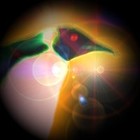 Picture for song 'Electric Penguin' by artist 'Drew Costigan'