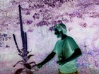 Picture for song 'SOSOSORRIE' by artist 'D X M digital experimental music'