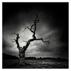 Picture for song 'Duisternis' by artist 'Ebiebaby'