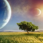 Picture for song 'Insignia' by artist 'Effect Beats'