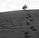 Picture for song 'Imprints Of The Past' by artist 'Emotive Touch'