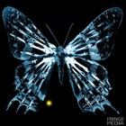 Picture for song 'Untitled_Part2' by artist 'Entanglement (AUS)'