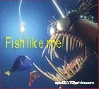 Picture for song 'Fish like me' by artist 'epicBEATSforhire'