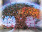 Picture for song 'A New Earth' by artist 'Epidemic of CDE'