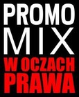 Picture for song 'promomix' by artist 'ERESTYKA PL'