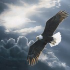 Picture for song 'Rise Above All (Film) (www.errolbeats.com)' by artist 'Errol Beats'