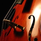 Picture for song 'Strings On Steroids (Club) (www.errolbeats.com)' by artist 'Errol Beats'