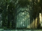 Picture for song 'Emergence' by artist 'Eternity in an Hour'