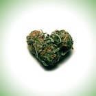 Picture for song 'Loud She Smoked(SOLD)' by artist 'FalloutBeatz'