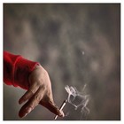 Picture for song 'Hanya Musik' by artist 'Fami'